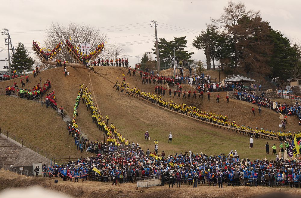 諏訪の御柱祭木落し